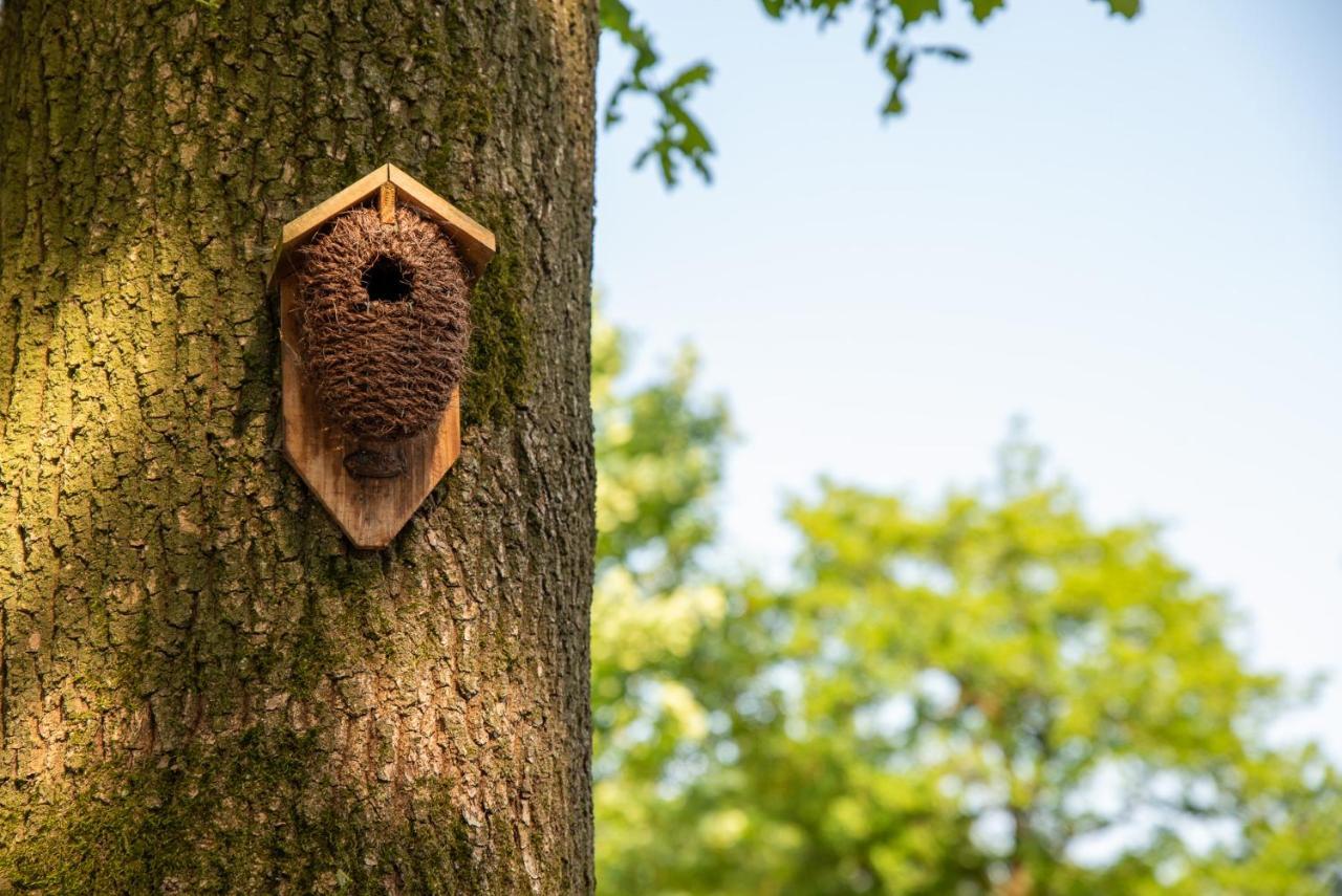 Nature Hideout At Veluwe Nature Park 푸텐 외부 사진